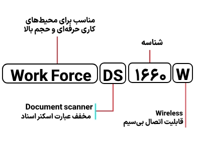 شناسایی حروف بکار رفته در اسکنر اپسون مدل WorkForce DS1660W