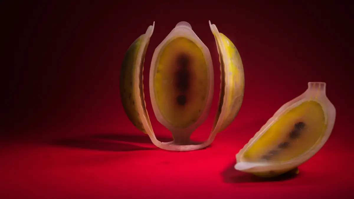 پرینت میوه سه بعدی