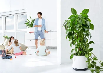 پاکسازی طبیعی هوای خانه